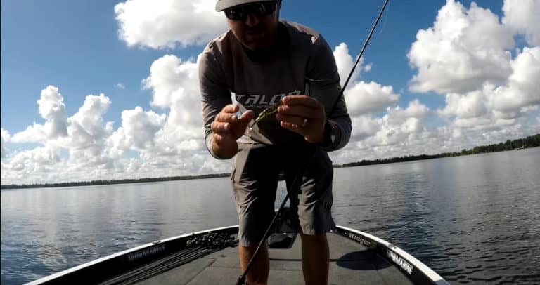How To Fish A Fluke For Bass