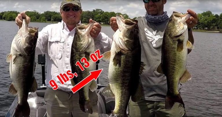 Best Bass Lures vs. Most Popular Bass Fishing Lures