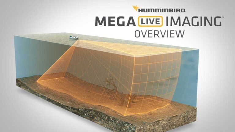 The Ultimate Guide For Humminbird Mega Live