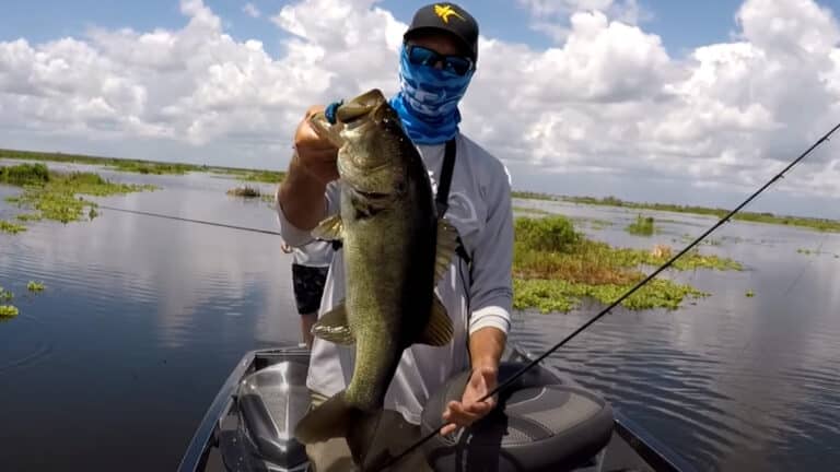 The Ultimate Bass Fishing Guide To Flipping, Pitching & Punching
