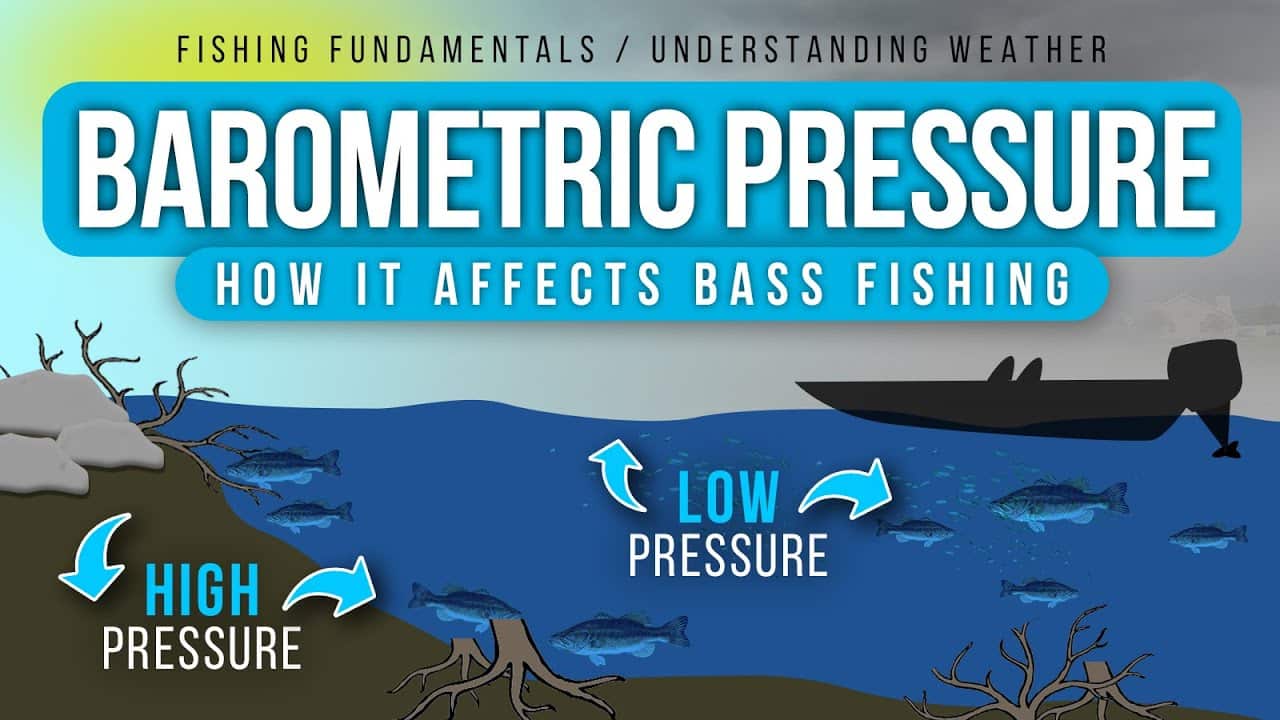 How Barometric Pressure Affects Bass: Tips for Anglers – Guide Fishing