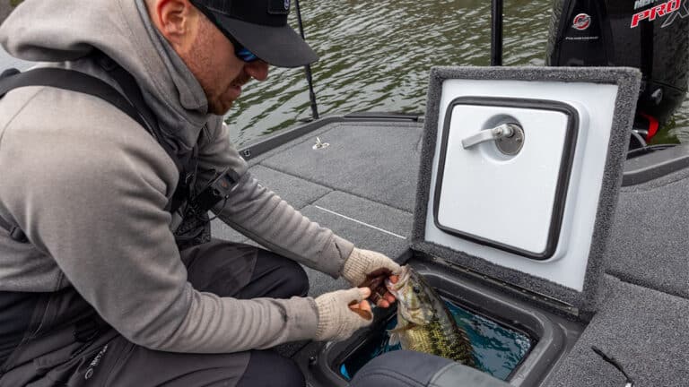 iKon’s L2 Livewell Now Available To All Bass Boat Manufacturers