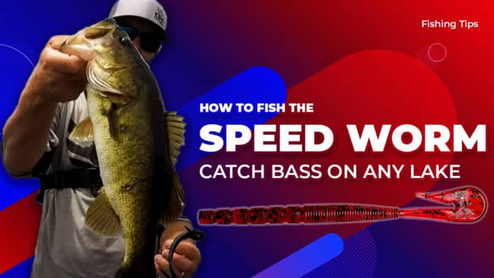 Speed Worm Fishing For Bass