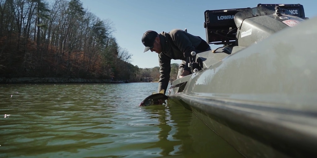 Jacob Wheeler in an iKon Boat Releasing a bass